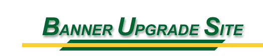 Banner Upgrade Site.